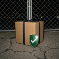 Shipping protection
